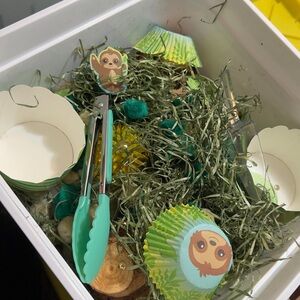 Sloth themed individual sensory bin